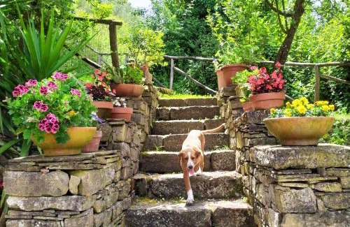 Rutino House | Relaxing I Tre Tigli - Casa di Campagna with Breakfast