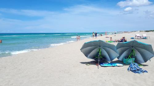 Torre Pali Apartment | Discover I Tulipani di Torre Pali: Ocean View Retreat