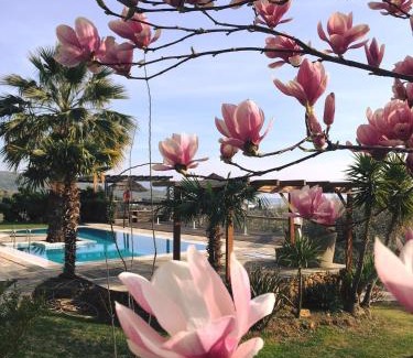 Koropi Hotel | Relax at Iakovakis Suites & Spa: 4-Star Comfort Awaits