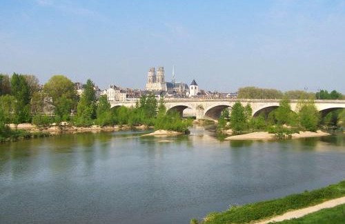 Sud Loire Hotel | Budget-Friendly Ibis Orléans Sud with Great Amenities