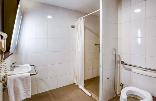 Centro Hotel | Comfortable ibis Rio de Janeiro Santos Dumont with Spa & Dining