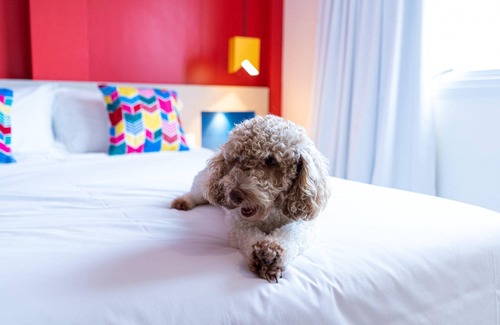 Centro Hotel | Guest Favorite: ibis Styles Campina Grande with Spa & Dining