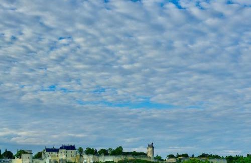 Chinon Hotel | Pet-Friendly ibis Styles Chinon with Oceanfront Pool Access