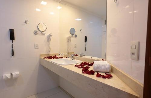 Ribeirao Preto Hotel | Pet-Friendly Ibis Styles Ribeirao Preto: Pool & Spa Retreat