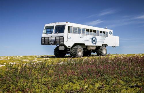 Churchill Hotel | Family-Friendly IceBerg Inn with 9/10 Guest Ratings