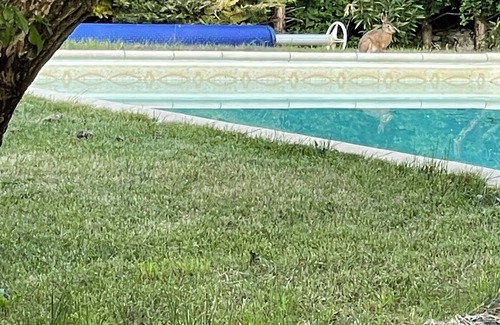 Saux Apartment | Relaxing Getaway for Two or Three with Inviting Pool
