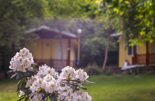 Kamena House | Cozy Bungalow for 2-3 Guests Amidst a Beautiful Garden