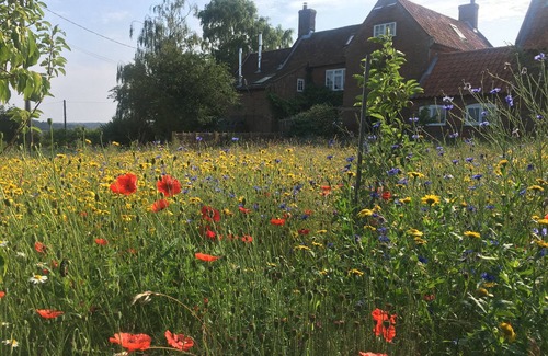 Butley Cottage | Beautiful Hotel Near Sutton Hoo with Pool and Gardens