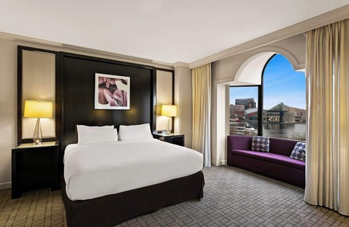 Downtown Baltimore Hotel | Pet-Friendly Retreat Steps from Oriole Park at Camden Yards