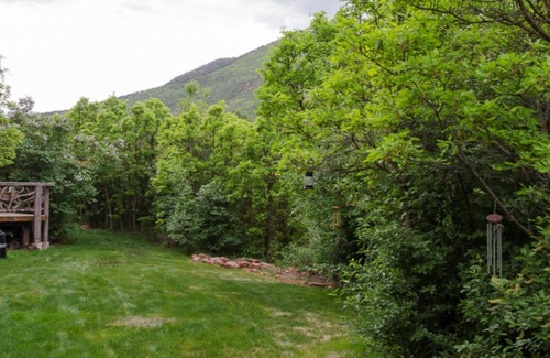Carbondale Cottage | Tranquil Mountain Retreat with Spa & Hot Tub Near Town