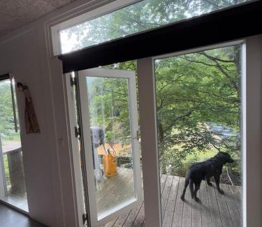 Them Other | Idylisk primitiv hytte midt i skoven
