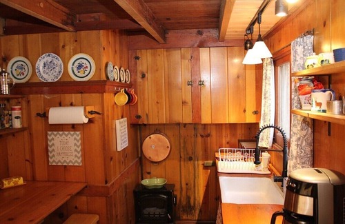Idyllwild Cabin | Idyllcottage: Historic Charm with Spa and Pet-Friendly Perks