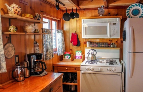 Idyllwild Cabin | Idyllcottage: Historic Charm with Spa and Pet-Friendly Perks