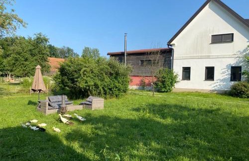 Weitersfeld Apartment | Renovated Apartment in Historic Courtyard - Pet Friendly Stay