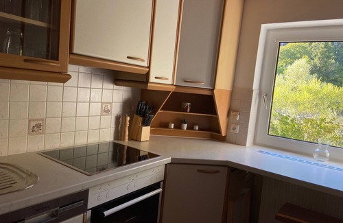 Bad Ischl Condo | Scenic Apartment on the Traun River with Family Amenities