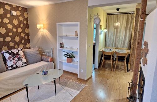 Tartu Apartment | Relaxing Supilinn Apartment with Balcony & Pet-Friendly Access
