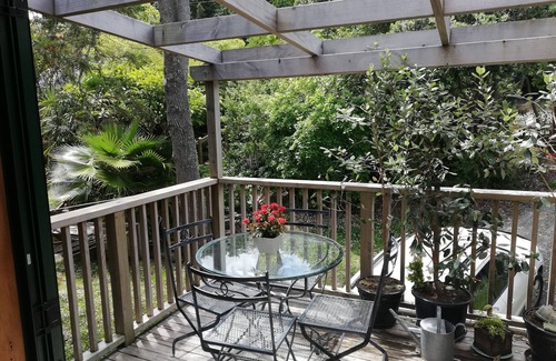 Tawharanui Cottage | IDYLLIC MATAKANA BEACH N BUSH WATERFRONT HIDEAWAY, BRING THE DOG.