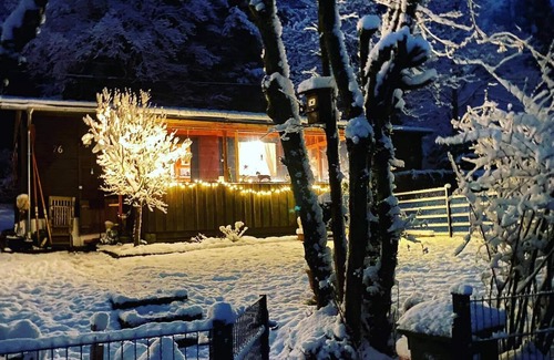 Pfalzfeld House | Idyllic Forest House with Pool and Ocean View, 10/10 Rated