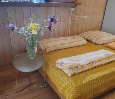 Bach a.d.Donau Apartment | Idyllisches Waldhaus mit Donaublick in Alleinlage