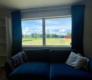 Osthammar House | Serene House with Lake Views - 4-Star, Family & Pet Friendly