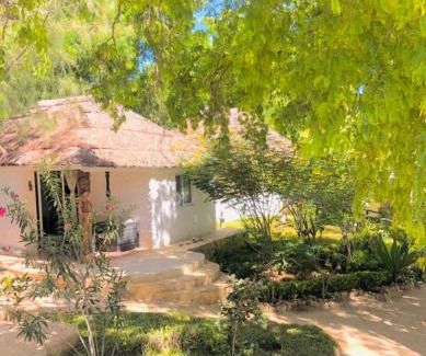 Ifaty Hotel | Enjoy Pet-Friendly Comfort at Ifaty Beach Club Resort