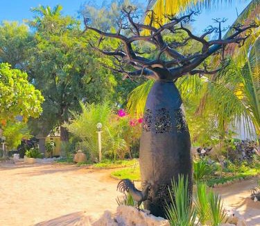 Ifaty Hotel | Enjoy Pet-Friendly Comfort at Ifaty Beach Club Resort
