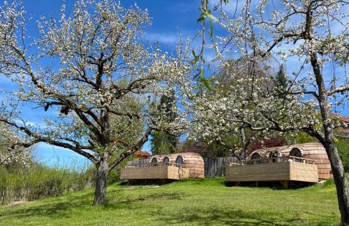Wangen im Allgaeu Other | Experience Nature at IGLUCAMPING Allgäu-Bodensee