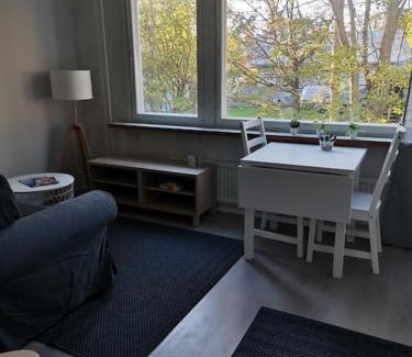 Kokkola Apartment | Discover Ihana Yksiö: Family-Friendly Retreat Awaits