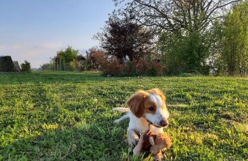 Cardona House | Experience Comfort at il Balcone sul Monferrato Hotel