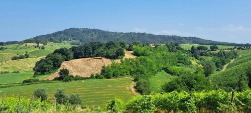 Casteggio House | Discover Il Biancospino: Pet-Friendly with Top Amenities