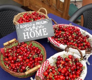 Torreglia Bed & Breakfast | Family-Friendly Retreat at Il Borgo dei Molini - Rated 8.6
