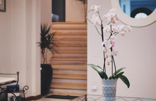 Gaeta Bed & Breakfast | Discover Il Bottone D'Argento: Top-Rated Family Getaway