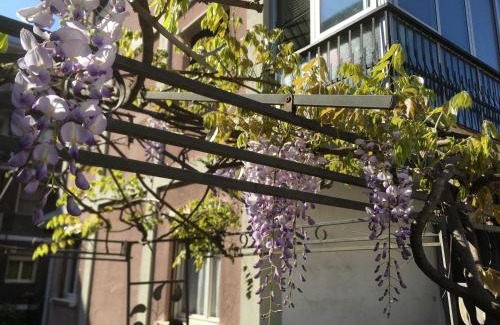 Novara Bed & Breakfast | Highly Rated Il Broletto B&B: Pet Friendly & Family Welcoming