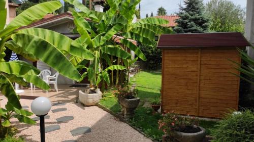 Barbarano Apartment | Oceanfront Retreat at Il Caminetto di Mario - 8.5/10 Rated