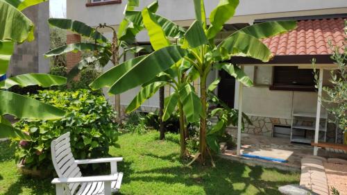 Barbarano Apartment | Oceanfront Retreat at Il Caminetto di Mario - 8.5/10 Rated