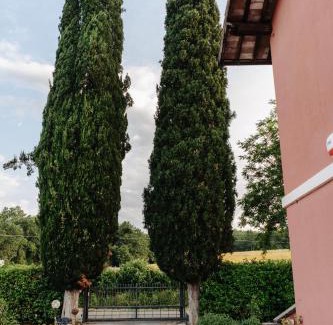 Montorsaio Apartment | Experience Il Casale delle Rose: Pet-Friendly Family Retreat
