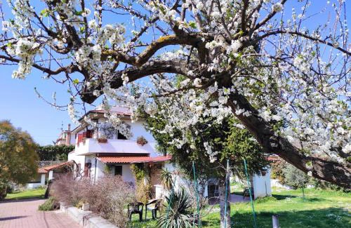 Palombara Sabina House | Discover Il Ciliegio: Oceanfront Pet Friendly Retreat