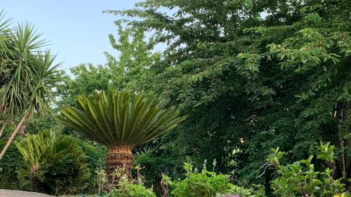 Stella Cilento House | Family-Friendly Getaway at Il Ciliegio Hotel