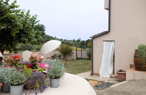 Crespina House | Pet-Friendly Retreat at Affittacamere Il Colle - 9.3/10 Rating