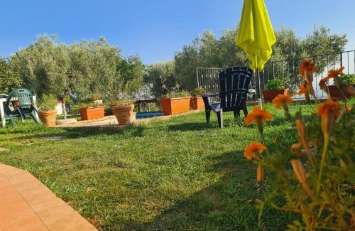 Calimera House | Discover Il Colle degli Ulivi: Pet-Friendly with Pool