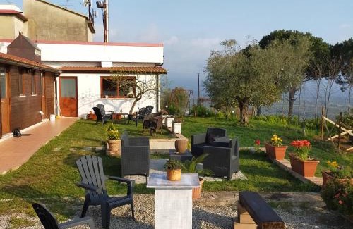 Calimera House | Discover Il Colle degli Ulivi: Pet-Friendly with Pool