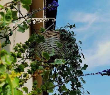 Clusane Apartment | Discover Il Cortile: Pet-Friendly Stay with Top Amenities