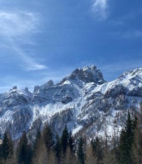 Falcade Apartment | Exceptional Stay at Il Covo Dello Sciatore with Breakfast