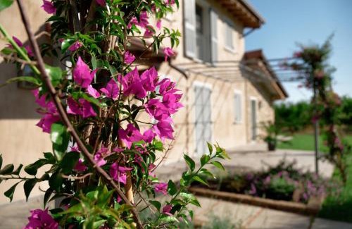 Pietrasanta House | il Frutteto