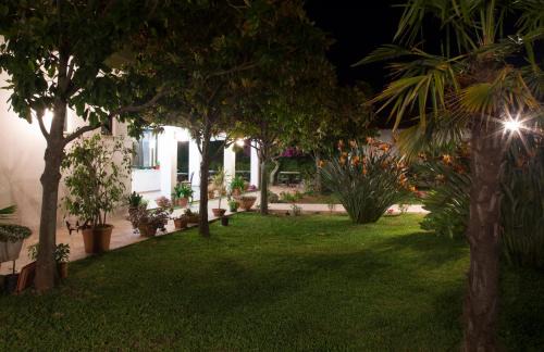 Ricadi Hotel | Pet-Friendly Il Gattopardo with Private Beach & Ocean Views