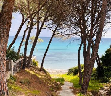 Sas Linnas Siccas House | Relax at Il Giardino davanti al Mare with Oceanfront Views