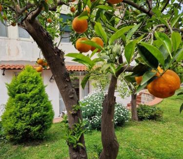 Meta Apartment | Experience Il Giardino dei Gigli: Perfect for Families