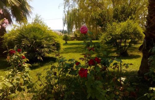 Olmedo Apartment | Pet-Friendly Retreat at Il Giardino delle Rose A