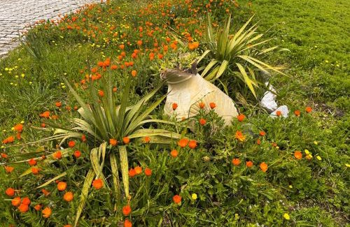 Lauria Bed & Breakfast | Pet-Friendly Il Giardino di Vincenzina B&B with Hot Tub