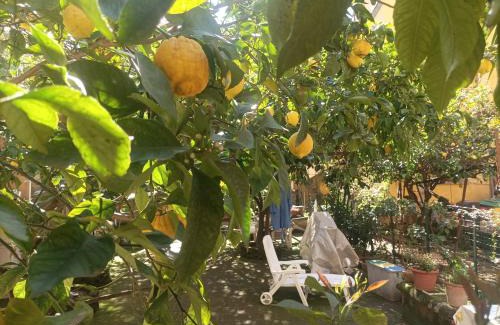 Vittorio Emanuele House | Discover Il Giardino Nascosto: Pet-Friendly Retreat 9.1/10